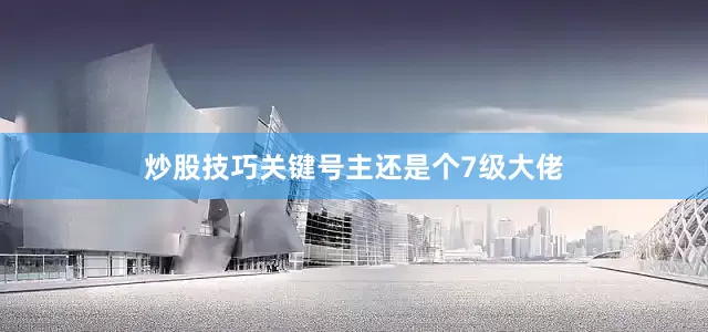 炒股技巧关键号主还是个7级大佬