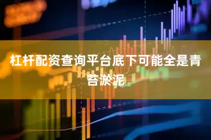 杠杆配资查询平台底下可能全是青苔淤泥