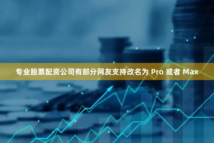 专业股票配资公司有部分网友支持改名为 Pro 或者 Max